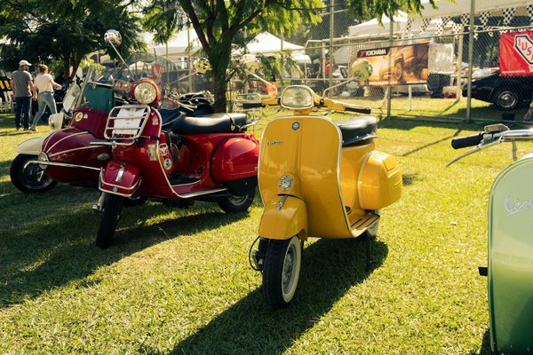 Où acheter des vêtements de créateurs féminins sans se ruiner